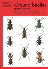 Book Cover for Ground Beetles by Trevor G Forsythe, Sophie Allington