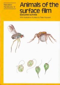 Book Cover for Animals of the Surface Film by Marjorie Guthrie, Peter Hayward
