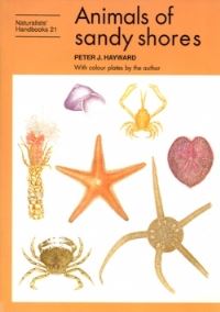 Book Cover for Animals of Sandy Shores by Peter J Hayward