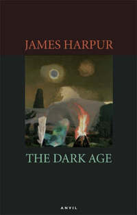 Book Cover for The Dark Age by James Harpur
