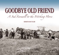 Book Cover for Goodbye Old Friend by Simon Butler