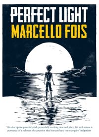 Book Cover for Perfect Light by Marcello Fois