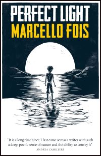 Book Cover for Perfect Light by Marcello Fois