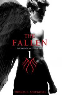 Book Cover for The Fallen by Tom Sniegoski