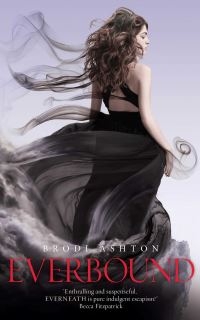 Book Cover for Everbound by Brodi Ashton