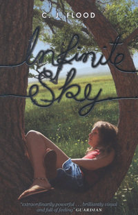 Book Cover for Infinite Sky by C. J. Flood