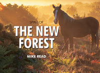 Book Cover for Spirit of the New Forest by Terry Faull