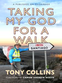 Book Cover for Taking My God for a Walk by Tony Collins