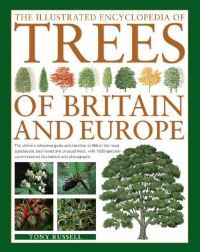 Book Cover for The Illustrated Encyclopedia of Trees of Britain & Europe by Tony Russell