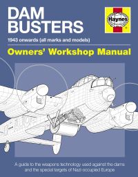Book Cover for Dam Busters by Iain Robert Murray