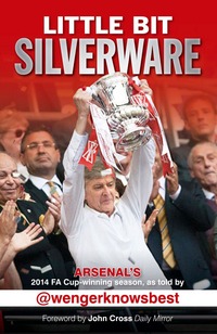 Book Cover for Little Bit Silverware by wengerknowsbest