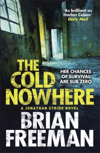 Book Cover for The Cold Nowhere by Brian Freeman
