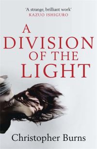Book Cover for A Division of the Light by Christopher Burns