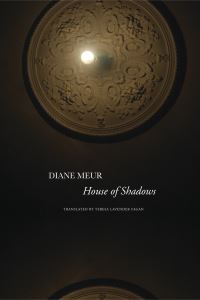 Book Cover for House of Shadows by Diane Meur