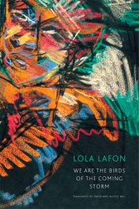 Book Cover for We Are the Birds of the Coming Storm by Lola Lafon