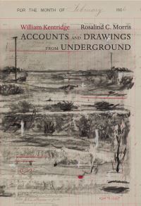 Book Cover for Accounts and Drawings from Underground by Rosalind C Morris