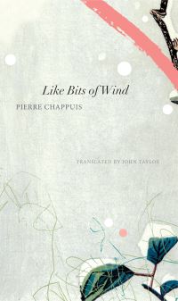 Book Cover for Like Bits of Wind by Pierre Chappuis