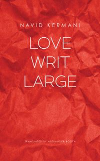 Book Cover for Love Writ Large by Navid Kermani