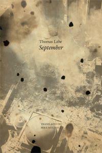 Book Cover for Part of the Solution by Thomas Lehr