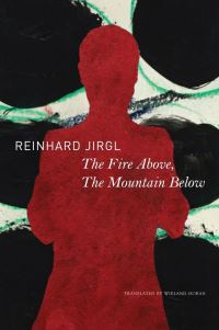 Book Cover for The Fire Above, the Mountain Below by Reinhard Jirgl