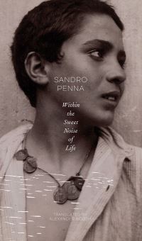 Book Cover for Within the Sweet Noise of Life by Sandro Penna