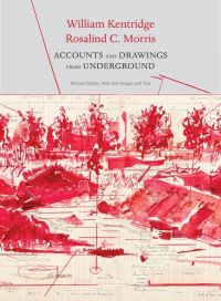 Book Cover for Accounts and Drawings from Underground by William Kentridge, Rosalind C Morris