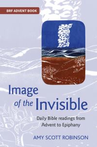 Book Cover for Image of the Invisible by Amy Robinson