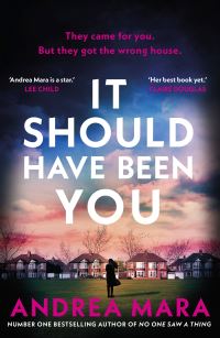 Book Cover for It Should Have Been You by Andrea Mara