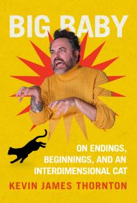 Book Cover for Big Baby by Kevin James Thornton