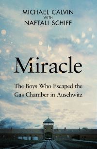 Book Cover for Miracle by Michael Calvin, Naftali Schiff