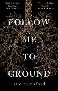 Book Cover for Follow Me to Ground by Sue Rainsford