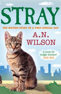 Book Cover for Stray by A N Wilson