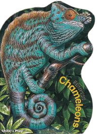Book Cover for Chameleons by Sue Baker