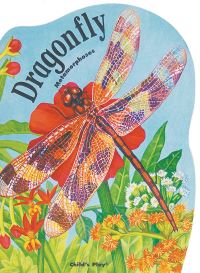 Book Cover for Dragonfly by Sue Baker