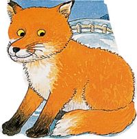 Book Cover for Pocket Fox by Pam Adams