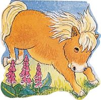 Book Cover for Pocket Pony by Pam Adams
