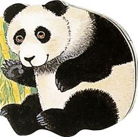 Book Cover for Pocket Panda by Pam Adams