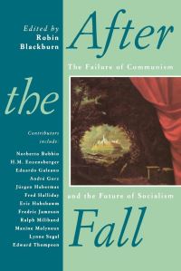 Book Cover for After the Fall by Robin Blackburn