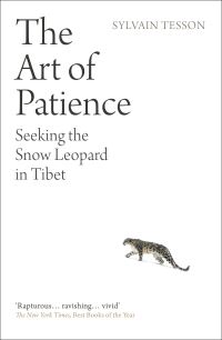 Book Cover for The Art of Patience by Sylvain Tesson