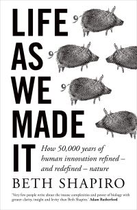 Book Cover for Life as We Made It by Beth Alison Shapiro