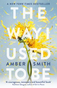 Book Cover for The Way I Used to Be by Amber Smith