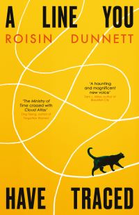 Book Cover for A Line You Have Traced by Roisin Dunnett