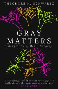Book Cover for Gray Matters by Theodore H Schwartz
