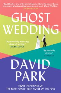 Book Cover for Ghost Wedding by David Park