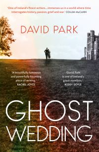 Book Cover for Ghost Wedding by David Park