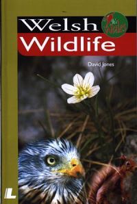 Book Cover for Welsh Wildlife by David Jones