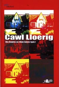 Book Cover for Cawl Lloerig by Nia Royles, Alun Jones