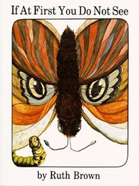 Book Cover for If at First You Do Not See by Ruth Brown