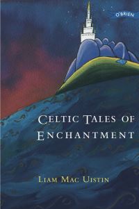 Book Cover for Celtic Tales of Enchantment by Liam Mac UistÔn, Ruiséal Barnett