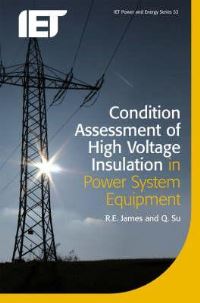 Book Cover for Condition Assessment of High Voltage Insulation in Power System Equipment by R E James, Q Su, Institution of Engineering and Technology